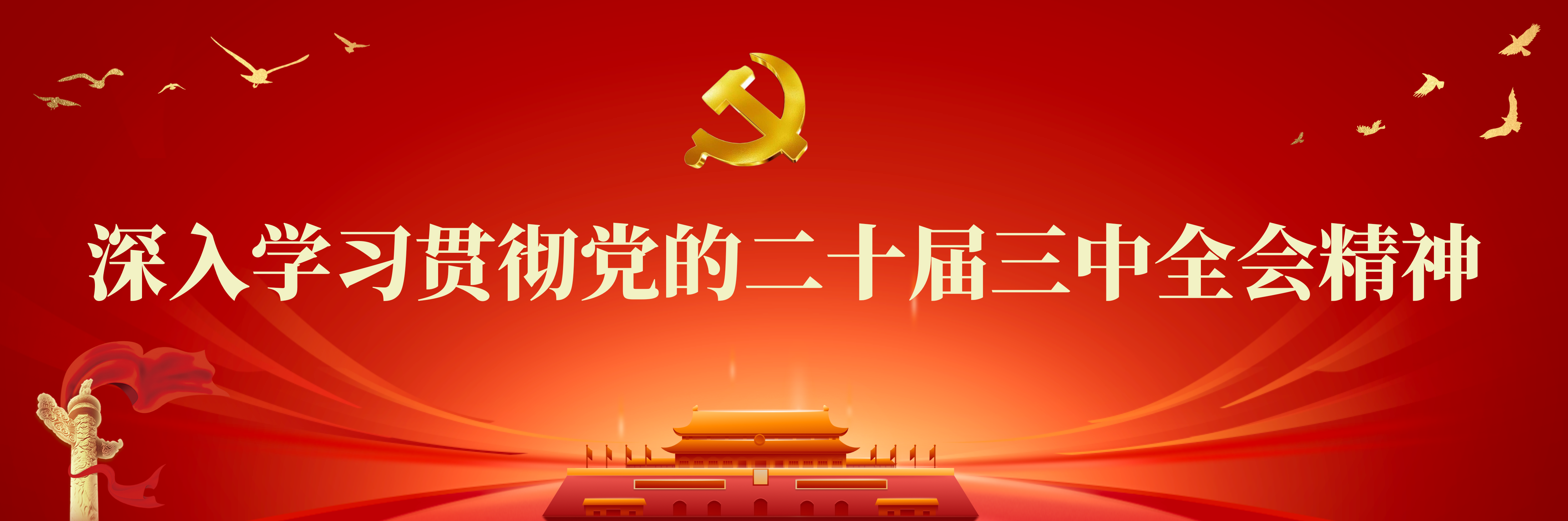 深入学习贯彻党的二十届三中全会...